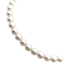 画像をギャラリービューアに読み込む, SILVER<br />パールネックレス