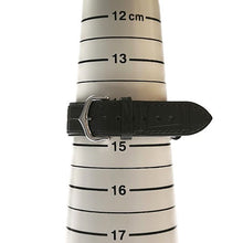 画像をギャラリービューアに読み込む, Cartier<br >サントスデュモンLM