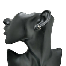 画像をギャラリービューアに読み込む, Pt850<br />ダイヤモンドデザインピアス