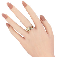 画像をギャラリービューアに読み込む, K18/Pt900<br />マルチストーン パンサーリング