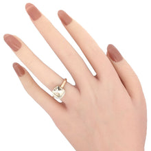 画像をギャラリービューアに読み込む, Pomellato&lt;br /&gt;ヌード
